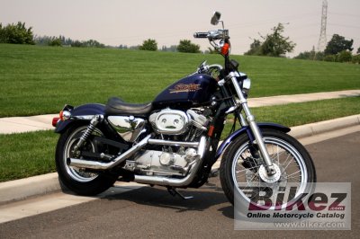 Harley davidson clearance 883 hugger